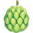 cherimoya