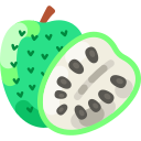 kiwi icon