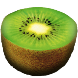 kiwi icon
